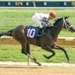 10 years since Barbaro, laminitis still a challenging foe