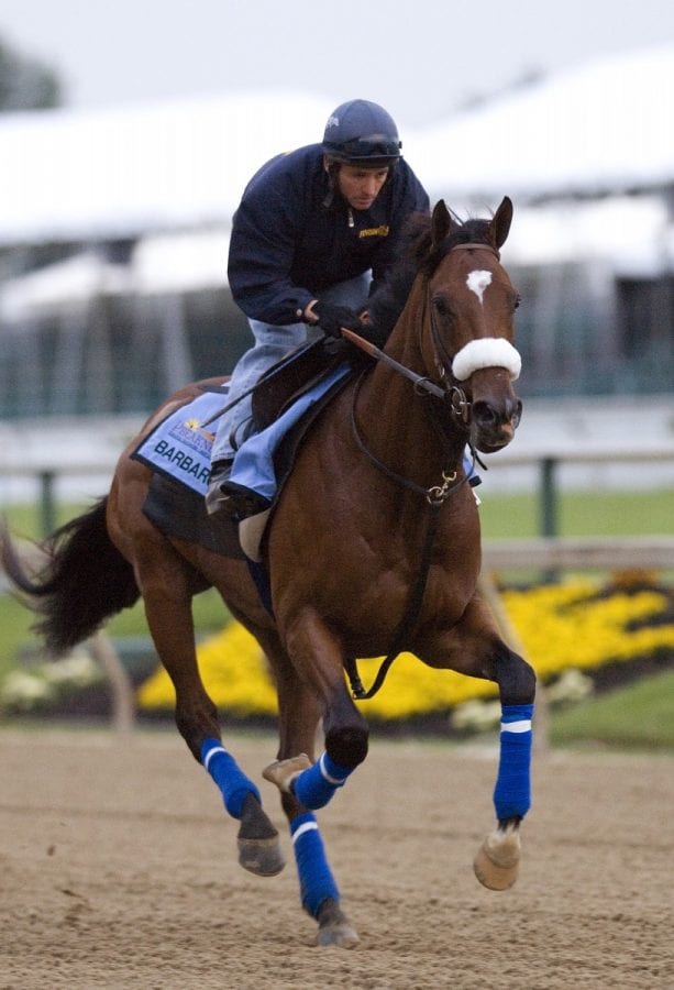 10 years since Barbaro, laminitis still a challenging foe * The Racing Biz