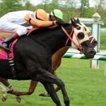 Laurel Park to hold Triple Crown Kickoff Party