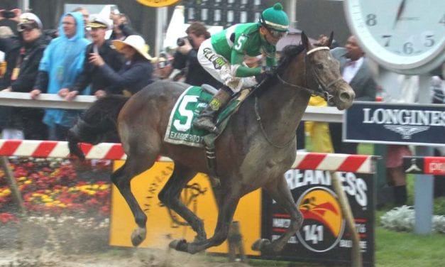 Exaggerator takes Desormeaux brothers home, and to new heights