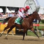 Multiplier, Senior Investment have final pre-Preakness works
