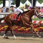 El Areeb romps to Withers triumph