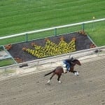 Pimlico Plus bill gets General Assembly OK