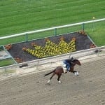 Catch a Glimpse to tackle Penn Mile boys