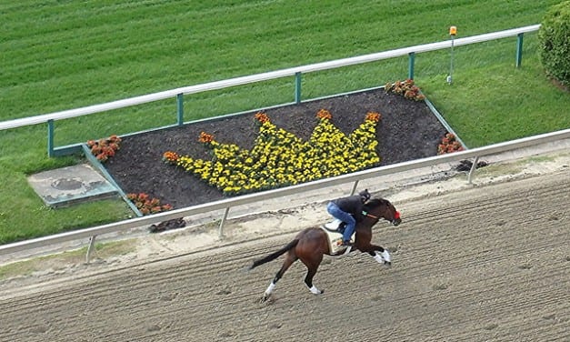 Fravel: Preakness a “shot in the arm” for Md. racing