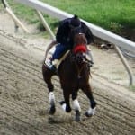 Fasig-Tipton sale rallies in second day