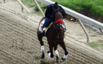 Nyquist to skip Belmont Stakes