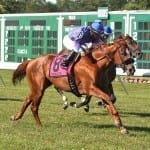 Edgar Prado enjoying return to starting point