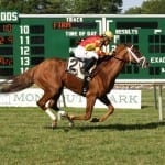 Fasig-Tipton yearling sale by the numbers