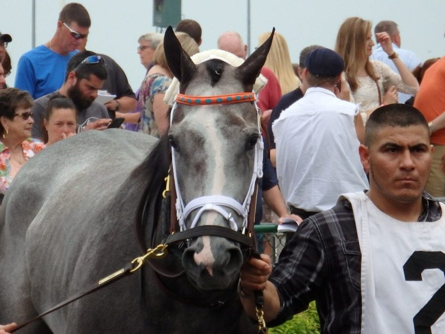 Conquest Serenade