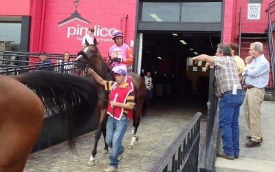 Senate panel raises Pimlico Plus bill questions