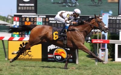 Two Notch Road, 11, gunning for White Oak Farm win