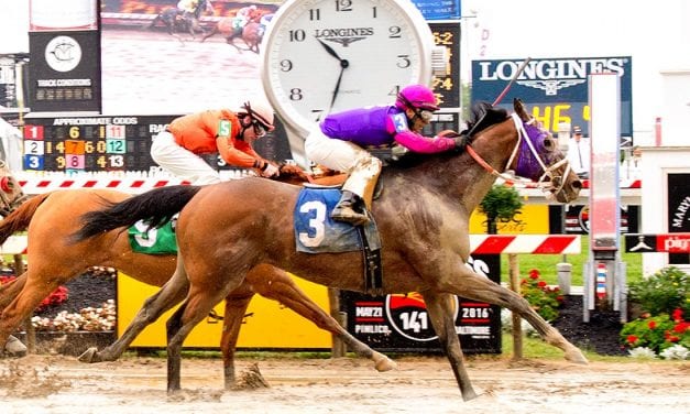 Maryland Commission receives reports on Preakness day horse deaths