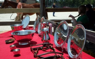 MHBA Yearling Show purse premium winners announced