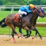 Rose Brier holds on to win Ned Evans