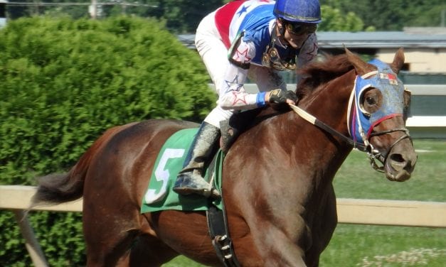 Bodhisattva aims to keep good roll going in Johnson Memorial