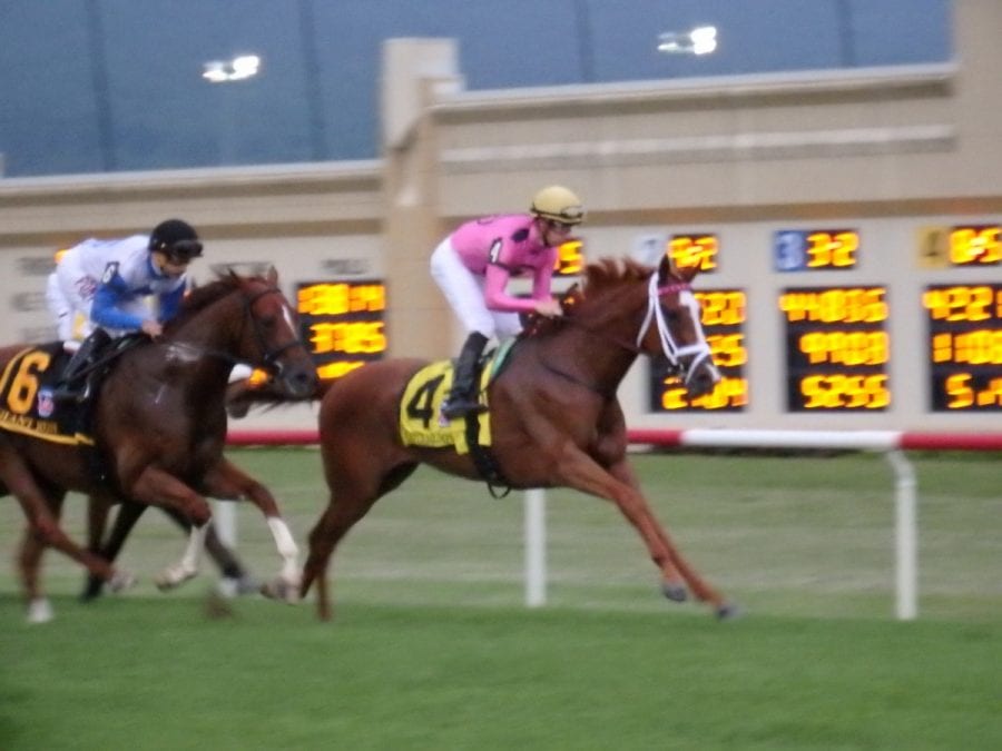 Catch a Glimpse led all the way in the Grade 3 Penn Mile. Photo by The Racing Biz.