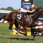 Komlo, M & D wave the Maryland flag with two stakes wins