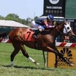 Podcast: Nick Hahn talks Commonwealth Day