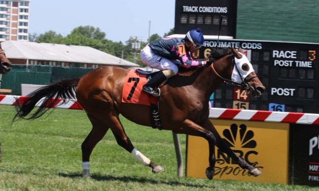 Stellar Wind repeats as Va-bred champion