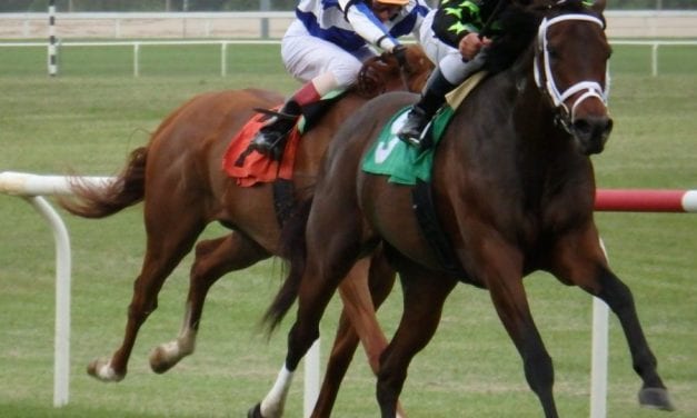 Evenly matched group to contest Penn Oaks