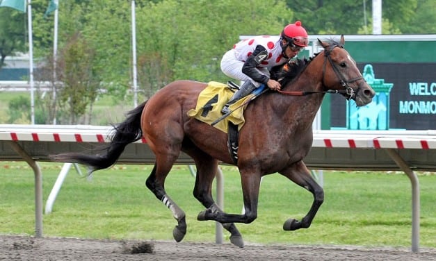 “Hard luck” Awesome Slew hopes for good Haskell fortune