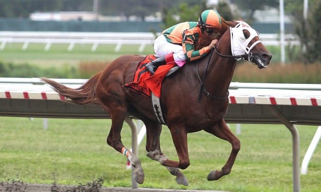 No Distortion earns clear win in Long Branch