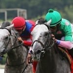 No Distortion earns clear win in Long Branch