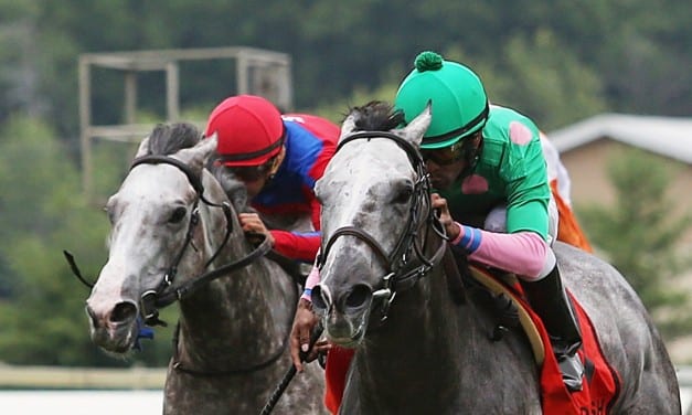 Pure Sensation scores in Parx Dash