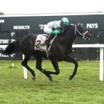 The Week that Was: July 18-24