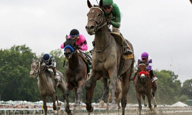 At the Haskell, a hometown horse and a “Hollywood story”