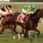 Monster Sleeping looks to defend Jameela title