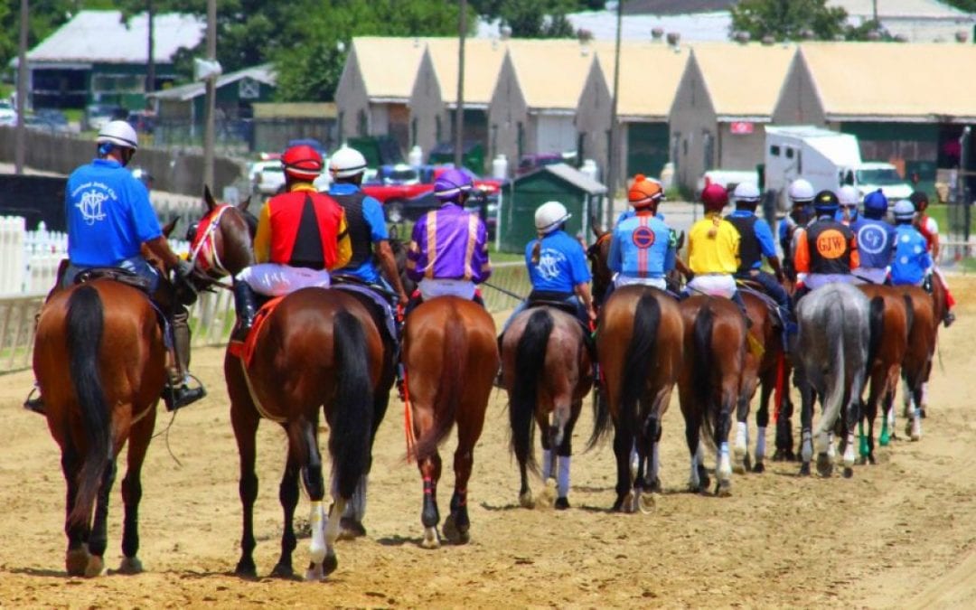 PhotoBlog: Laurel Park scenes