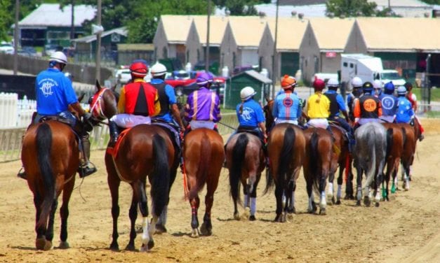 PhotoBlog: Laurel Park scenes