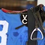 I’m a Chatterbox survives objection in Del Cap win