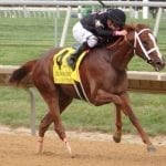 Analysis: Box-checkers and buybacks at Fasig-Tipton Mixed