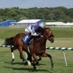 Jock Russell notches four-win day