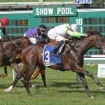 California Chrome tops new NTRA Top Thoroughbred Poll