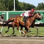 Unlucky seven: Ben’s Cat upset in Mister Diz