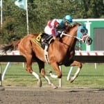 Meetings to address retired racehorses’ transitions to new careers