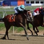 Lineup tabbed for “Off to the Races” radio show