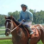 Little change in latest NTRA Top Thoroughbred Poll