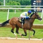 Laurel Park Racing Notebook, Fall Meet Vol. 3