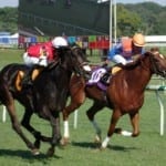 Dickie Small Stakes draws full starting gate