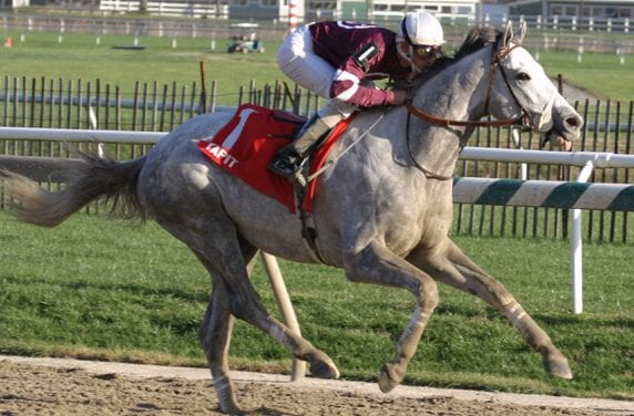 Aldrin, kin to Tapit, to stand at O’Sullivan