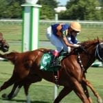 Selima Stakes odds and analysis