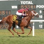 Equestricon: For the love of racing