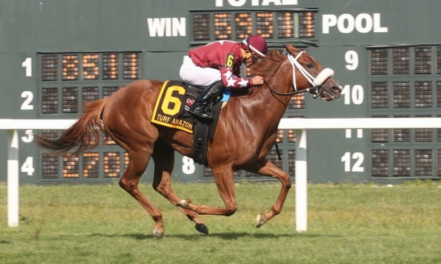 September 7 racing highlights: Hot Seat sizzles on debut