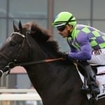 Laurel Park celebrates solid weekend wagering