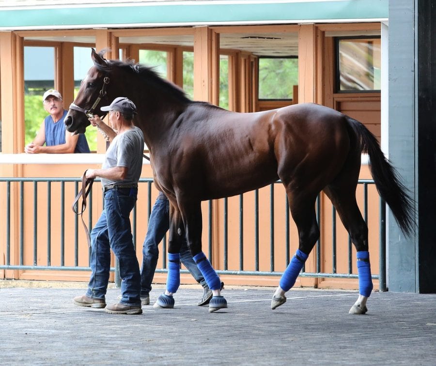 09-20-16-songbird-paddock-01 Songbird